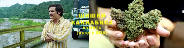 индика Протвино