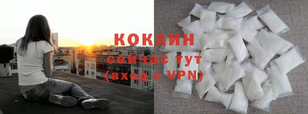 индика Протвино
