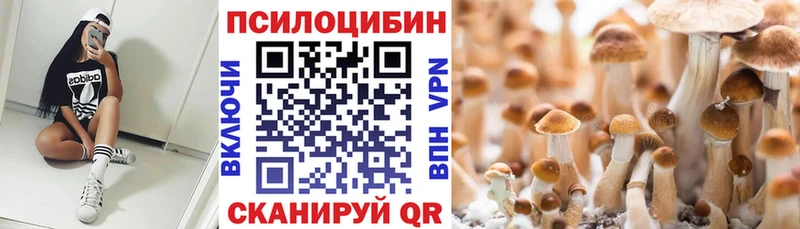 Псилоцибиновые грибы Psilocybine cubensis  Кириллов 